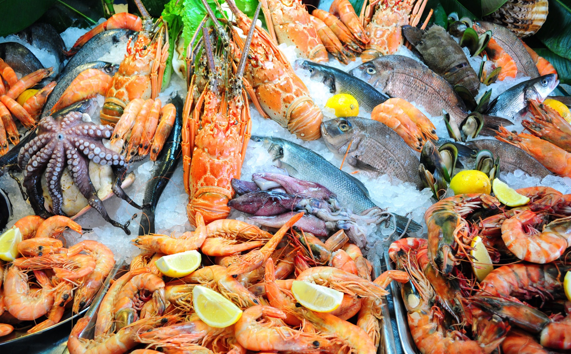 Упаковщик морепродуктов